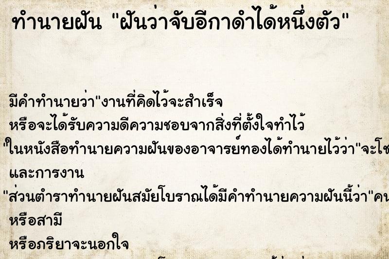 ทำนายฝัน ฝันว่าจับอีกาดำได้หนึ่งตัว ตำราโบราณ แม่นที่สุดในโลก