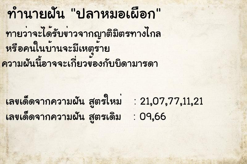 ทำนายฝันปลาหมอเผือก ทำนายฝันทำนายฝันปลาหมอเผือก