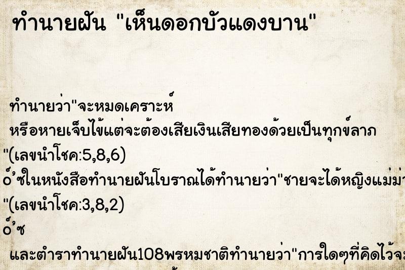 ทำนายฝันเห็นดอกบัวแดงบาน ทำนายฝันทำนายฝันเห็นดอกบัวแดงบาน