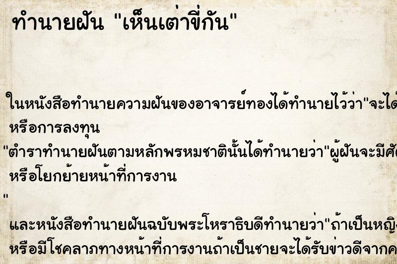 ทำนายฝันทำนายฝันเห็นเต่าขี่กัน
