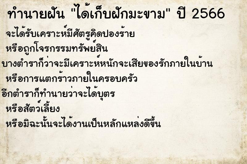 ทำนายฝันได้เก็บฝักมะขาม ทำนายฝันทำนายฝันได้เก็บฝักมะขาม