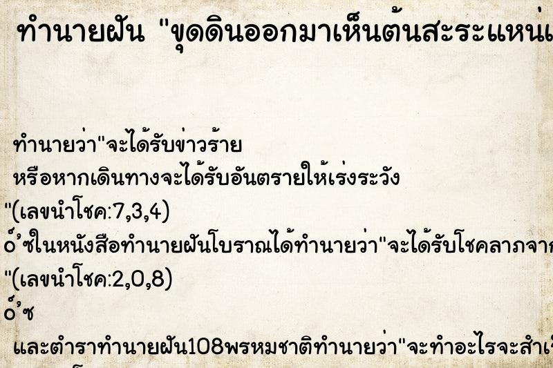 ทำนายฝัน ขุดดินออกมาเห็นต้นสะระแหน่เป็นสวยมาก ทำนายฝัน ขุดดินออกมาเห็นต้นสะระแหน่เป็นสวยมาก