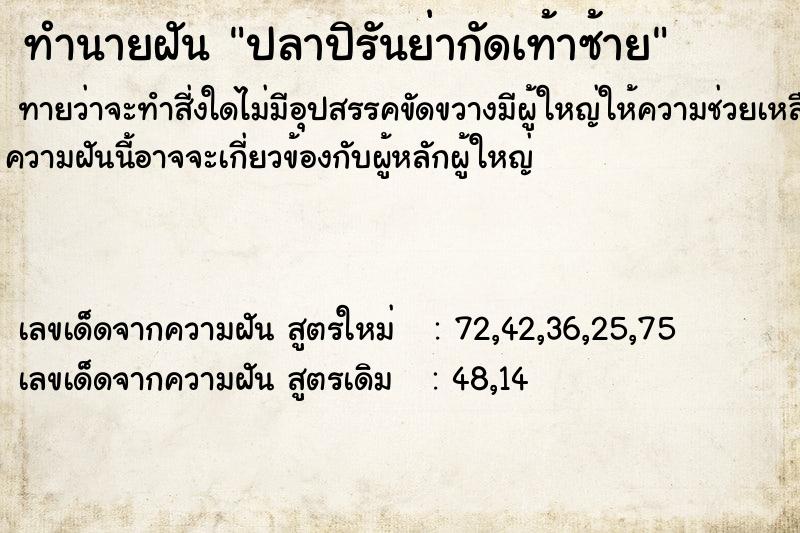 ทำนายฝัน ปลาปิรันย่ากัดเท้าซ้าย ทำนายฝัน ปลาปิรันย่ากัดเท้าซ้าย