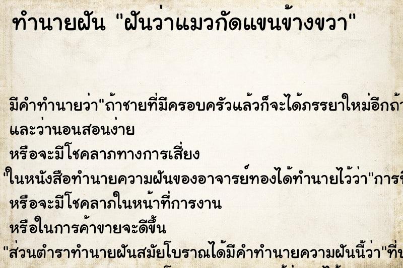 ทำนายฝัน ฝันว่าแมวกัดแขนข้างขวา ตำราโบราณ แม่นที่สุดในโลก