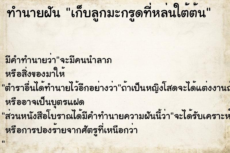 ทำนายฝันเก็บลูกมะกรูดที่หล่นใต้ต้น ทำนายฝันทำนายฝันเก็บลูกมะกรูดที่หล่นใต้ต้น