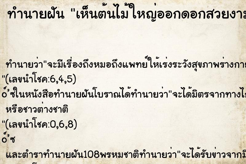 ทำนายฝัน เห็นต้นไม้ใหญ่ออกดอกสวยงาม ทำนายฝัน เห็นต้นไม้ใหญ่ออกดอกสวยงาม