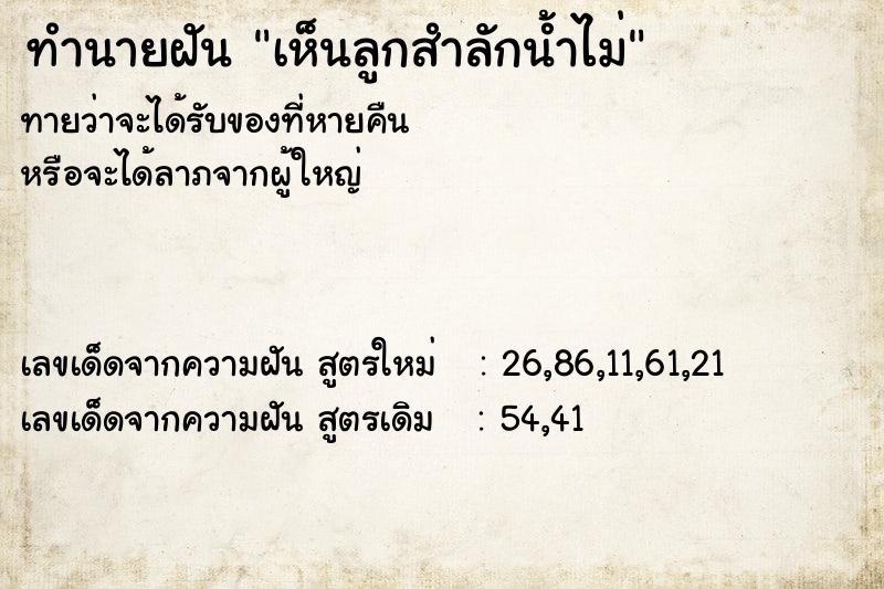 ทำนายฝัน เห็นลูกสำลักน้ำไม่ แม่นๆ ฟรี ด้วยตำราหนังสือทำนายฝันโบราณ ทำนายฝันเห็นลูกสำลักน้ำไม่