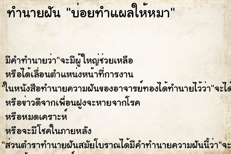 ทำนายฝัน บ่อยทำแผลให้หมา ทำนายฝัน บ่อยทำแผลให้หมา