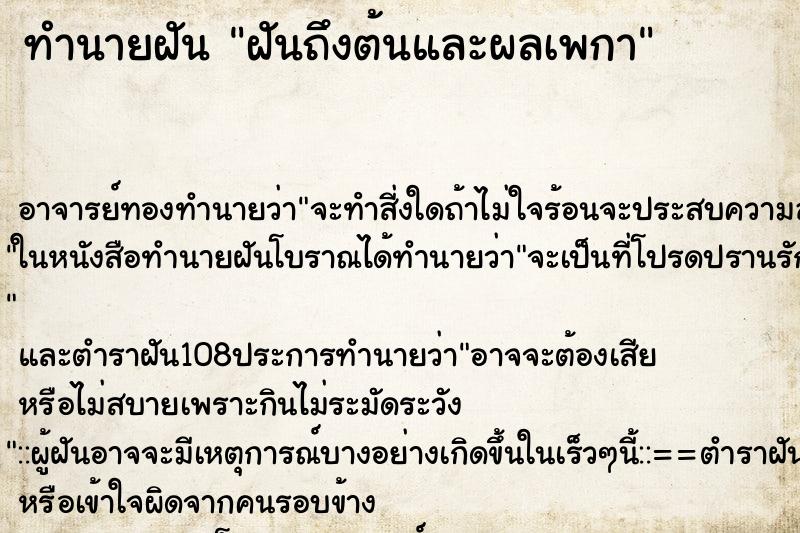 ทำนายฝันฝันถึงต้นและผลเพกา ทำนายฝันทำนายฝันฝันถึงต้นและผลเพกา