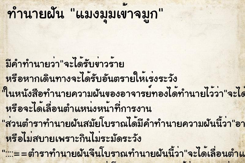 ทำนายฝันแมงมุมเข้าจมูก ทำนายฝันทำนายฝันแมงมุมเข้าจมูก