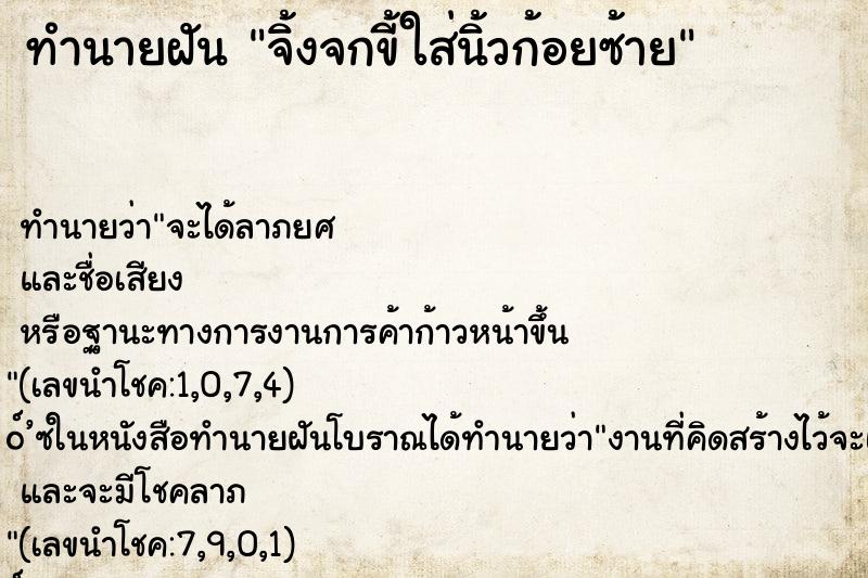 ทำนายฝันจิ้งจกขี้ใส่นิ้วก้อยซ้าย ทำนายฝันทำนายฝันจิ้งจกขี้ใส่นิ้วก้อยซ้าย