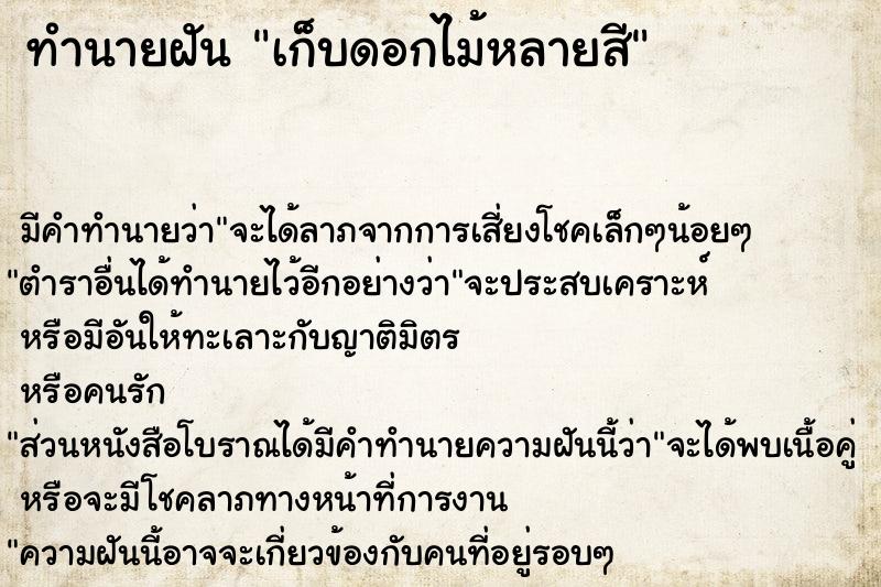 ทำนายฝันเก็บดอกไม้หลายสี ทำนายฝันทำนายฝันเก็บดอกไม้หลายสี