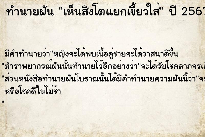 ทำนายฝัน เห็นสิงโตแยกเขี้ยวใส่ ทำนายฝัน เห็นสิงโตแยกเขี้ยวใส่