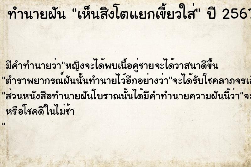 ทำนายฝัน เห็นสิงโตแยกเขี้ยวใส่ ตำราโบราณ แม่นที่สุดในโลก