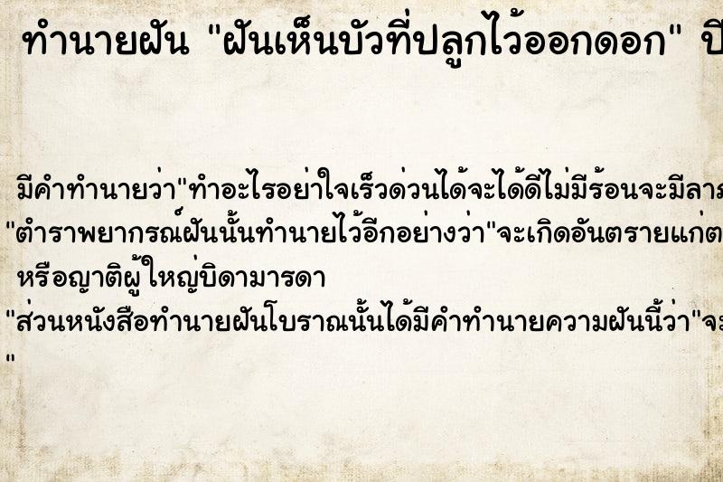 ทำนายฝัน ฝันเห็นบัวที่ปลูกไว้ออกดอก ทำนายฝัน ฝันเห็นบัวที่ปลูกไว้ออกดอก