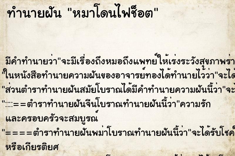 ทำนายฝันทำนายฝันหมาโดนไฟช็อต