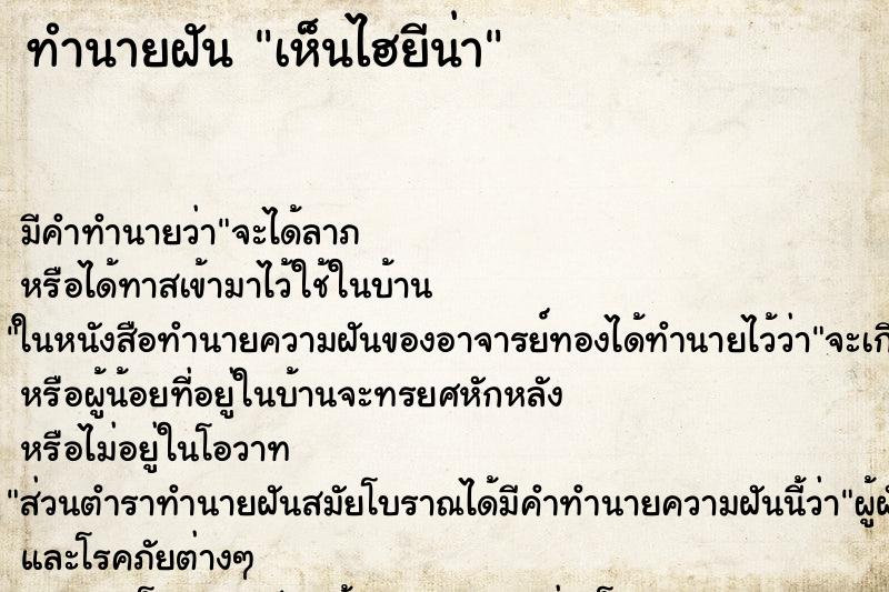 ทำนายฝัน เห็นไฮยีน่า ทำนายฝัน เห็นไฮยีน่า