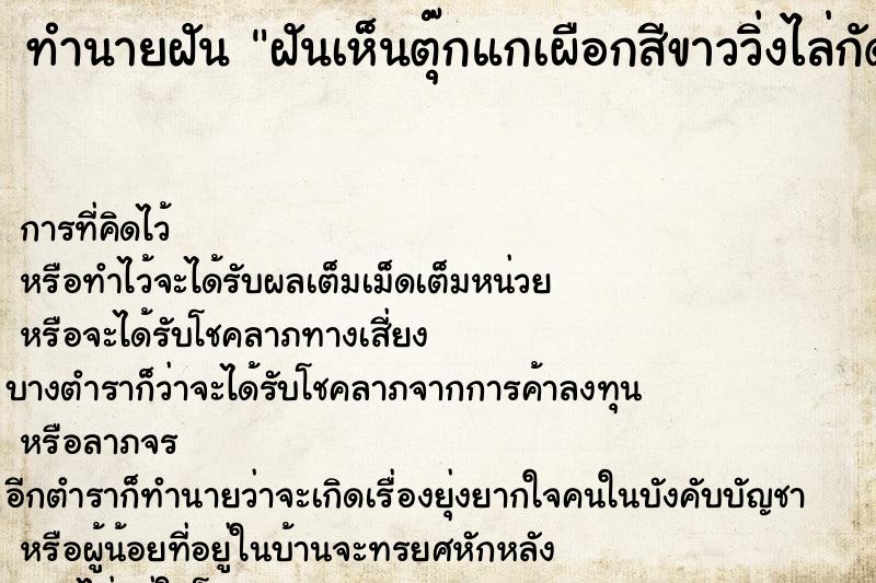 ทำนายฝันทำนายฝันฝันเห็นตุ๊กแกเผือกสีขาววิ่งไล่กัด