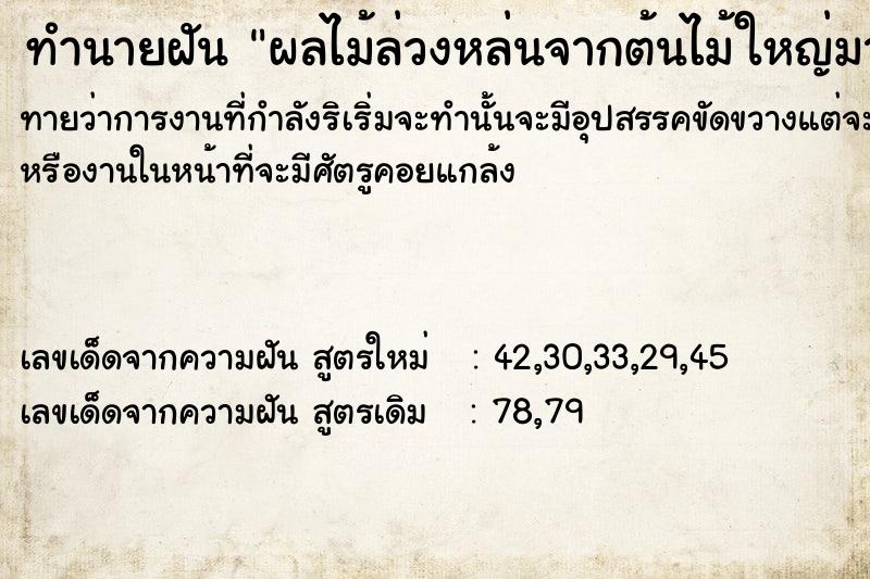 ทำนายฝันผลไม้ล่วงหล่นจากต้นไม้ใหญ่มากมาย ทำนายฝันทำนายฝันผลไม้ล่วงหล่นจากต้นไม้ใหญ่มากมาย