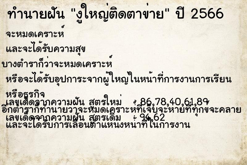 ทำนายฝันทำนายฝันงูใหญ่ติดตาข่าย