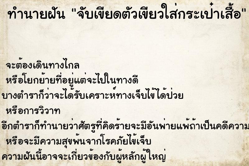 ทำนายฝัน จับเขียดตัวเขียวใส่กระเป๋าเสื้อ