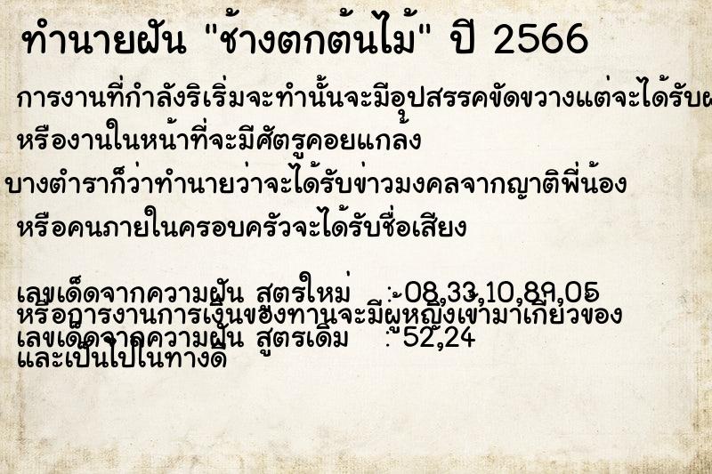 ทำนายฝันช้างตกต้นไม้ ทำนายฝันทำนายฝันช้างตกต้นไม้