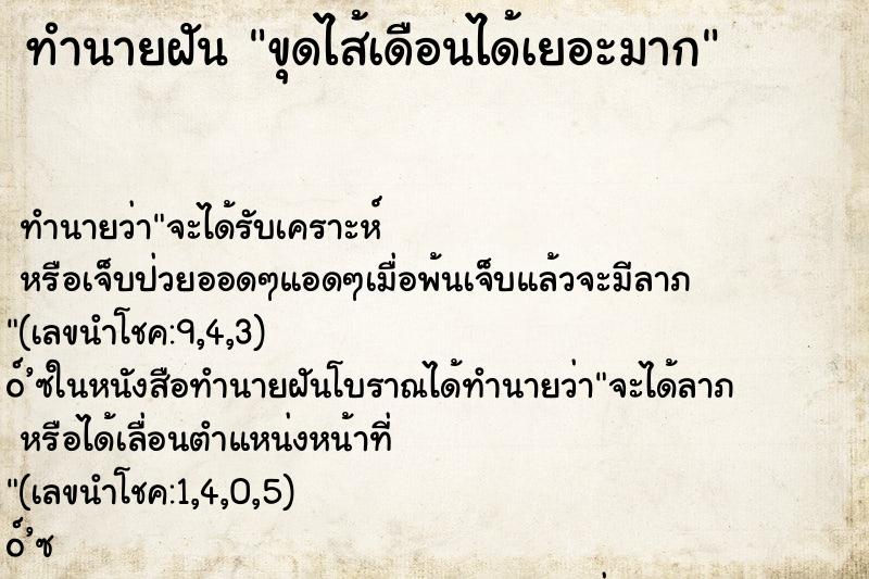 ทำนายฝัน ขุดไส้เดือนได้เยอะมาก ทำนายฝัน ขุดไส้เดือนได้เยอะมาก