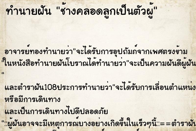 ทำนายฝันทำนายฝันช้างคลอดลูกเป็นตัวผู้