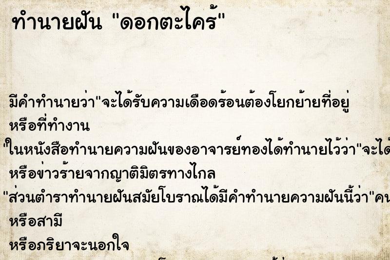 ทำนายฝันดอกตะไคร้ ทำนายฝันทำนายฝันดอกตะไคร้