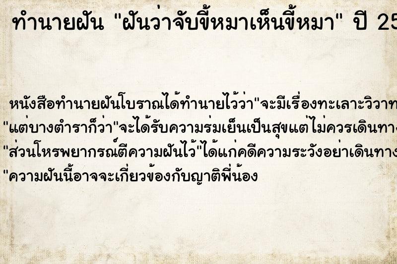ทำนายฝัน ฝันว่าจับขี้หมาเห็นขี้หมา ทำนายฝัน ฝันว่าจับขี้หมาเห็นขี้หมา