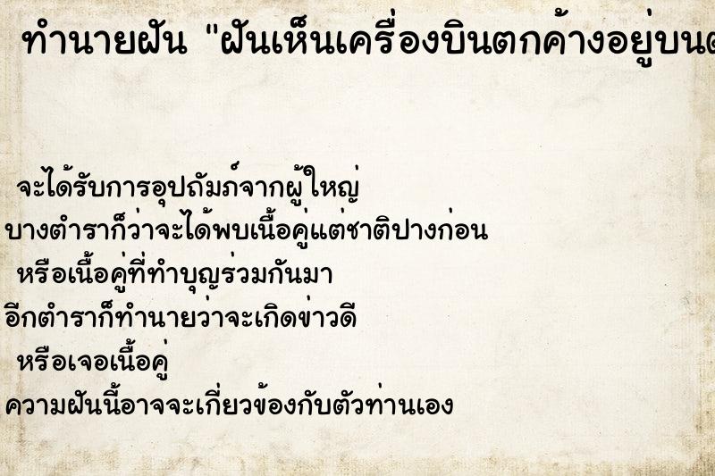 ทำนายฝันทำนายฝันฝันเห็นเครื่องบินตกค้างอยู่บนต้นไม้