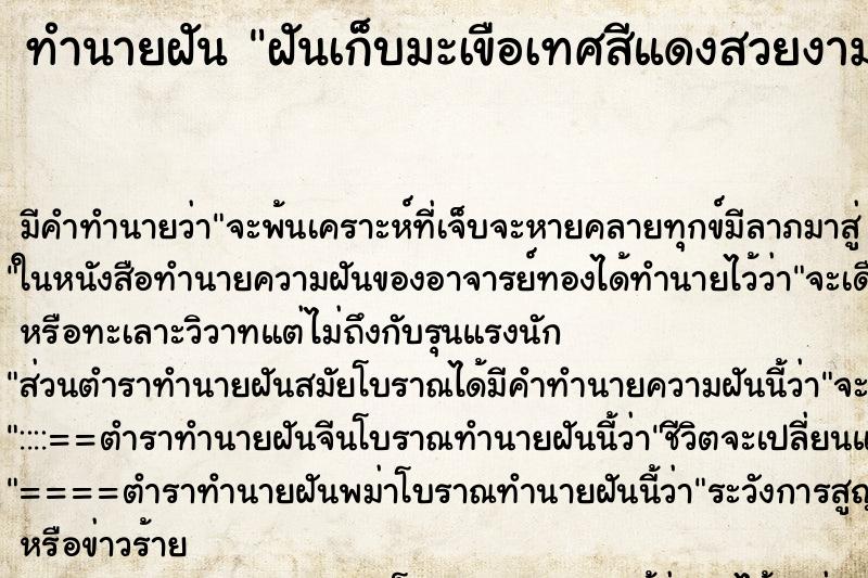 ทำนายฝันฝันเก็บมะเขือเทศสีแดงสวยงาม ทำนายฝันทำนายฝันฝันเก็บมะเขือเทศสีแดงสวยงาม