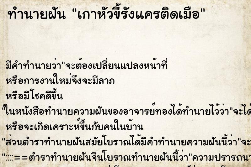 ทำนายฝัน เกาหัวขี้รังแครติดเมือ ทำนายฝัน เกาหัวขี้รังแครติดเมือ