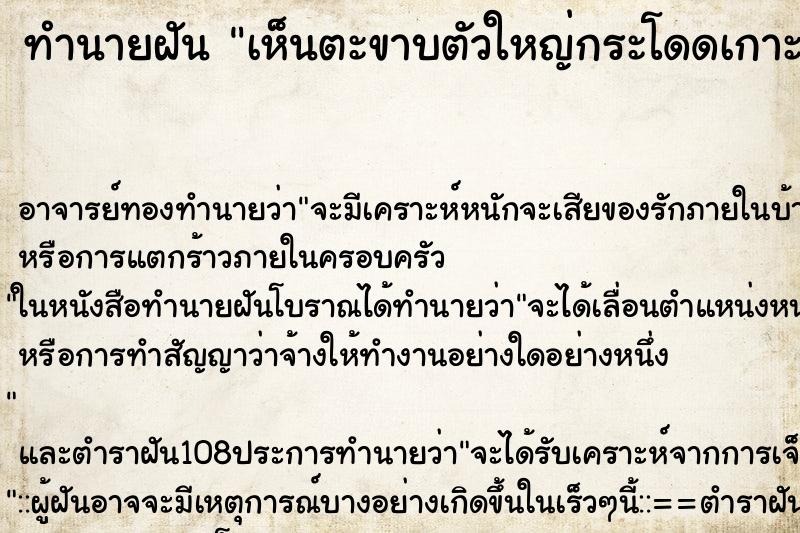 ทำนายฝัน เห็นตะขาบตัวใหญ่กระโดดเกาะ ทำนายฝัน เห็นตะขาบตัวใหญ่กระโดดเกาะ