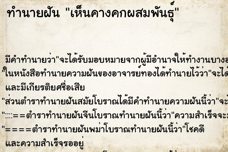 ทำนายฝัน เห็นคางคกผสมพันธุ์ ตำราโบราณ แม่นที่สุดในโลก