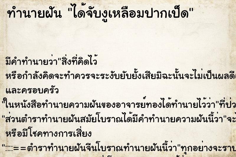 ทำนายฝัน ได้จับงูเหลือมปากเป็ด ทำนายฝัน ได้จับงูเหลือมปากเป็ด