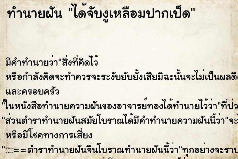 ทำนายฝัน ได้จับงูเหลือมปากเป็ด ตำราโบราณ แม่นที่สุดในโลก