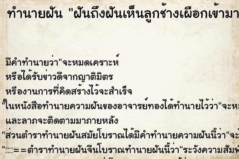 ทำนายฝัน ฝันถึงฝันเห็นลูกช้างเผือกเข้ามาหา ทำนายฝัน ฝันถึงฝันเห็นลูกช้างเผือกเข้ามาหา