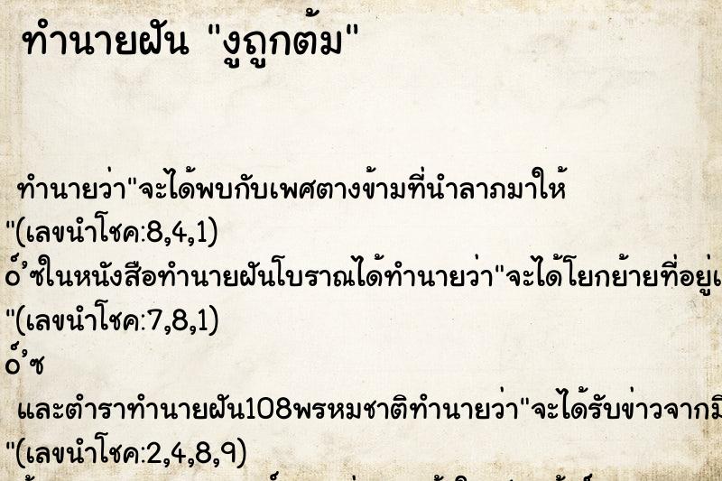 ทำนายฝันทำนายฝันงูถูกต้ม