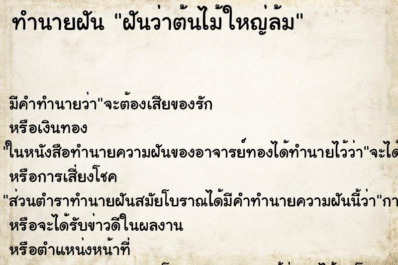 ทำนายฝันฝันว่าต้นไม้ใหญ่ล้ม ทำนายฝันทำนายฝันฝันว่าต้นไม้ใหญ่ล้ม