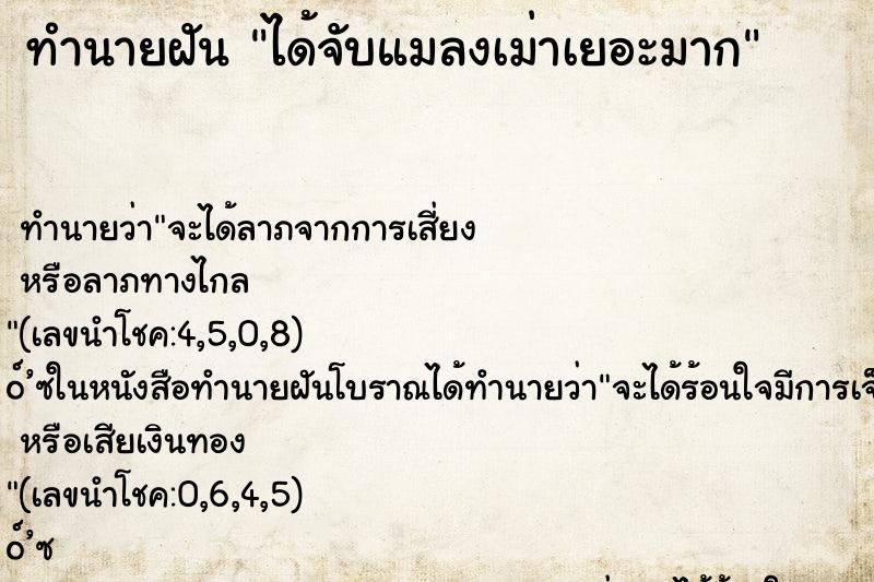 ทำนายฝัน ได้จับแมลงเม่าเยอะมาก ตำราโบราณ แม่นที่สุดในโลก