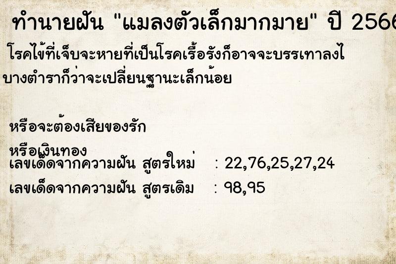 ทำนายฝันแมลงตัวเล็กมากมาย ทำนายฝันทำนายฝันแมลงตัวเล็กมากมาย