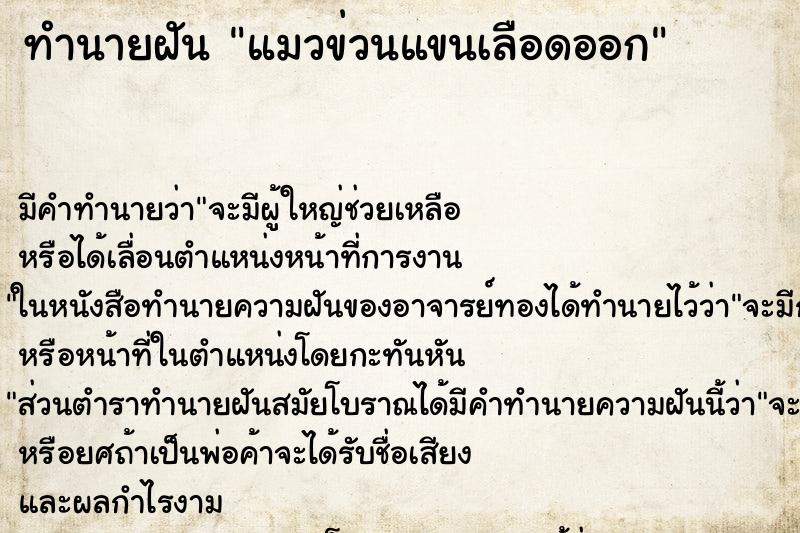 ทำนายฝัน แมวข่วนแขนเลือดออก ทำนายฝัน แมวข่วนแขนเลือดออก