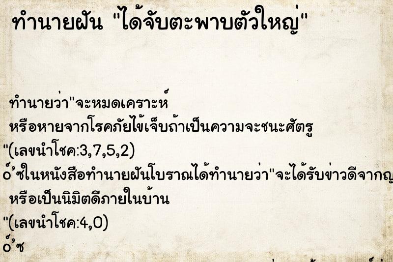 ทำนายฝัน ได้จับตะพาบตัวใหญ่