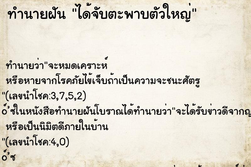 ทำนายฝัน ได้จับตะพาบตัวใหญ่ ตำราโบราณ แม่นที่สุดในโลก