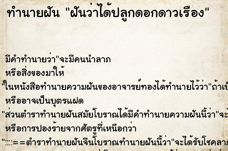 ทำนายฝัน ฝันว่าได้ปลูกดอกดาวเรือง ทำนายฝัน ฝันว่าได้ปลูกดอกดาวเรือง