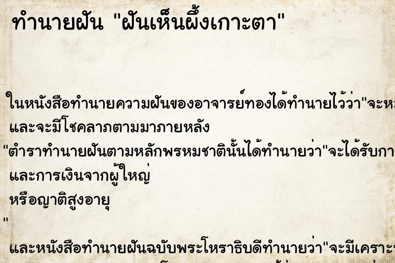 ทำนายฝันทำนายฝันฝันเห็นผึ้งเกาะตา