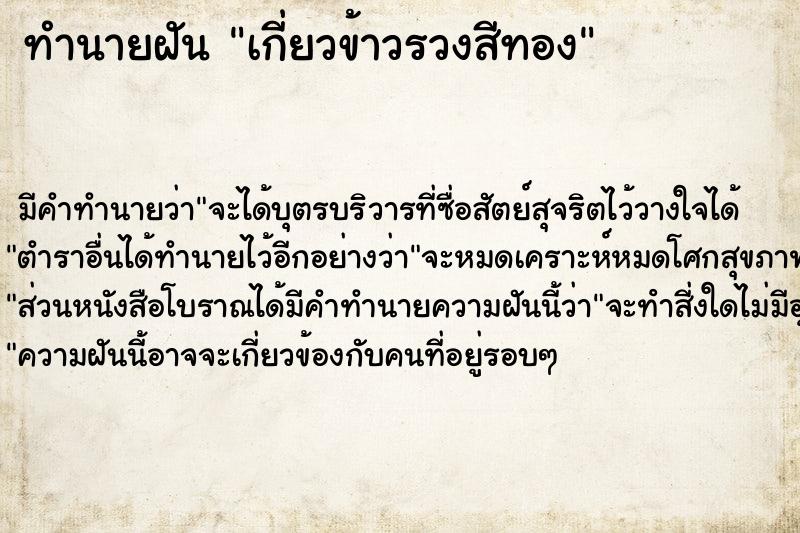 ทำนายฝัน เกี่ยวข้าวรวงสีทอง ทำนายฝัน เกี่ยวข้าวรวงสีทอง