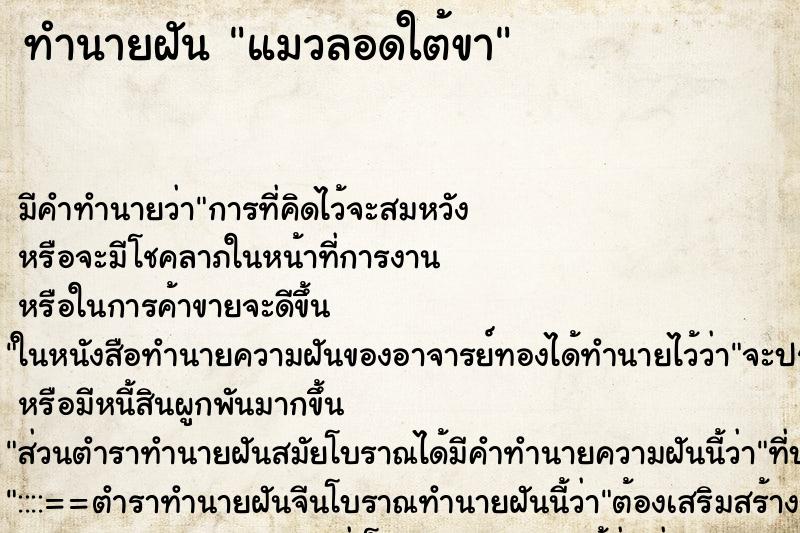 ทำนายฝันแมวลอดใต้ขา ทำนายฝันทำนายฝันแมวลอดใต้ขา