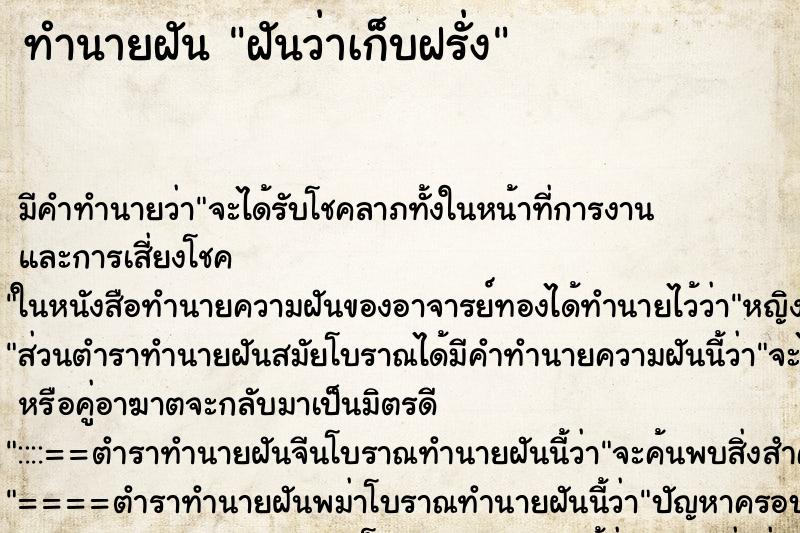 ทำนายฝัน ฝันว่าเก็บฝรั่ง ทำนายฝัน ฝันว่าเก็บฝรั่ง